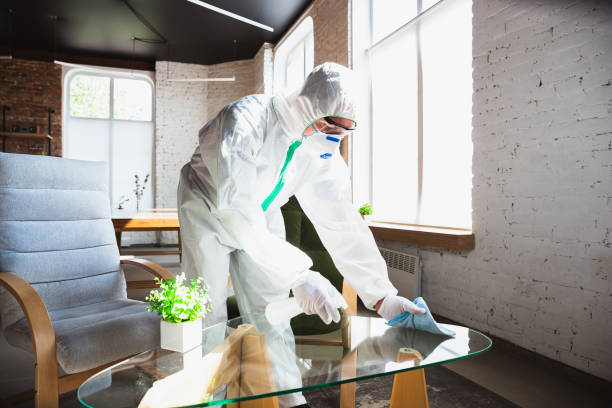 Best Mold Odor Removal Services  in Artesia, NM